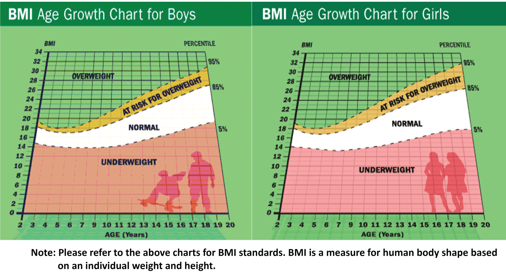 BMI Age Growth Chart