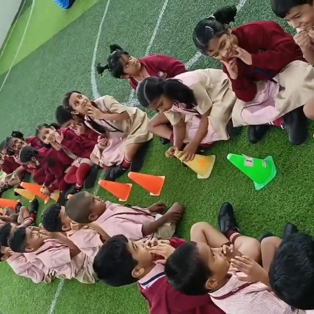 Primary School Activity