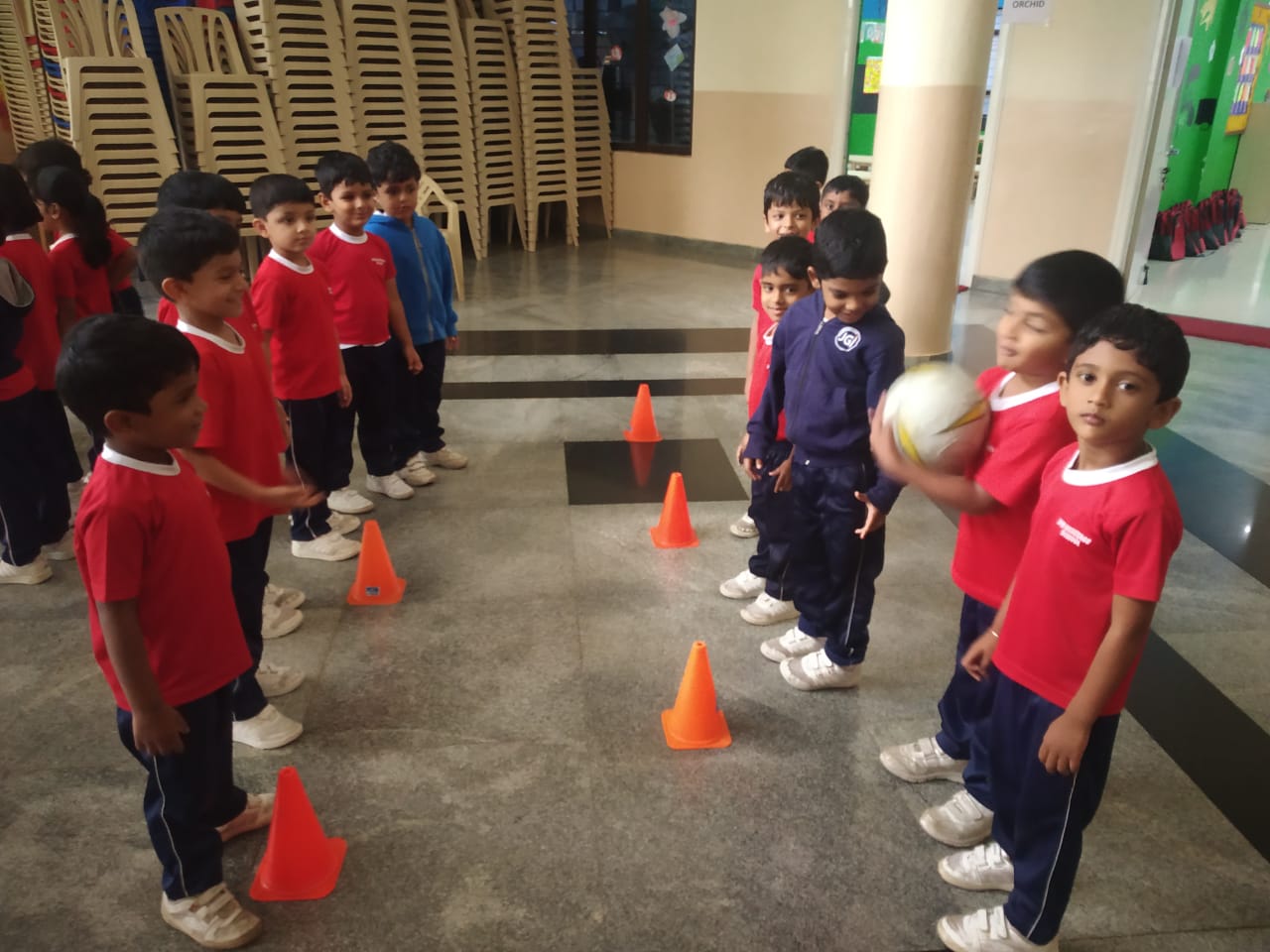 Primary School Activity
