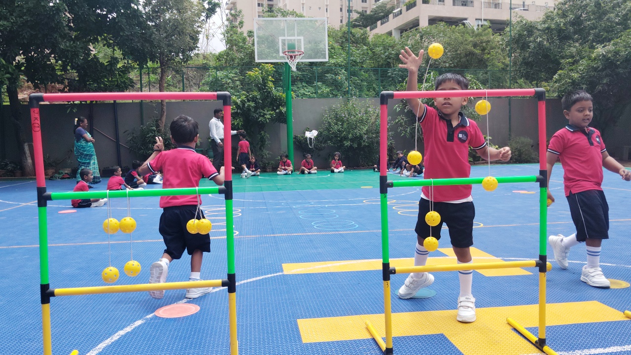 Primary School Activity